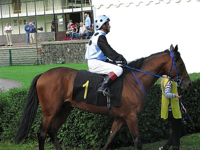 image_108.jpg