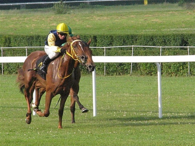 image_111.jpg