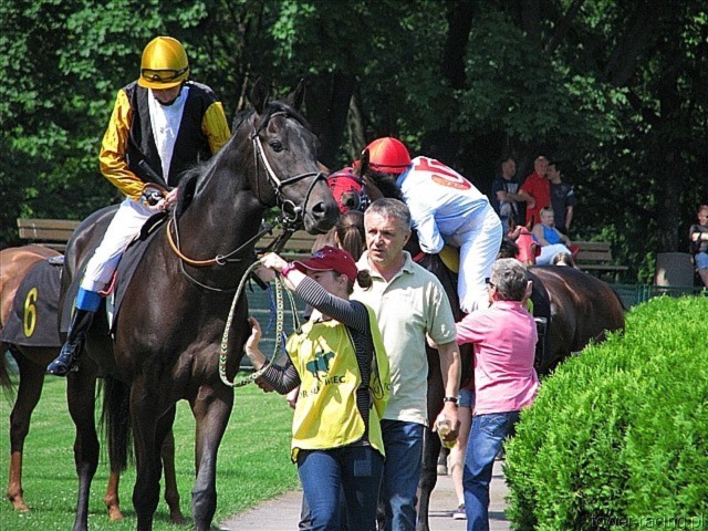image_2.jpg