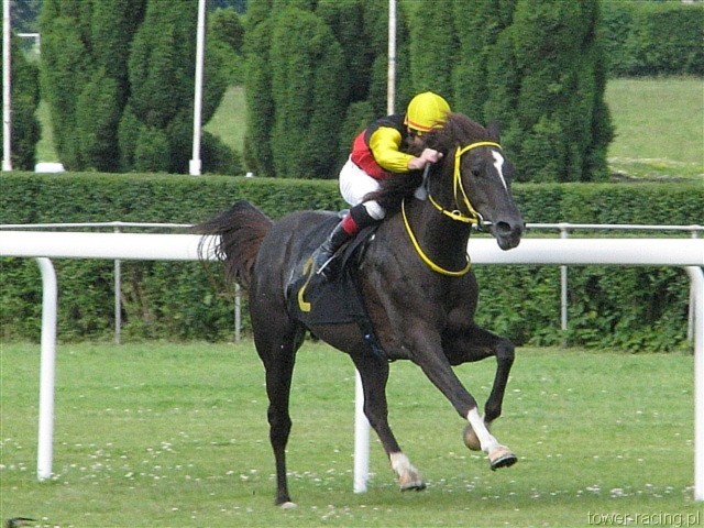 image_20.jpg