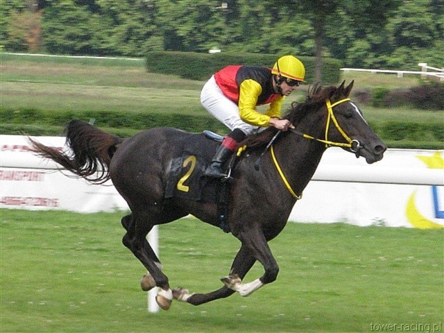 image_21.jpg