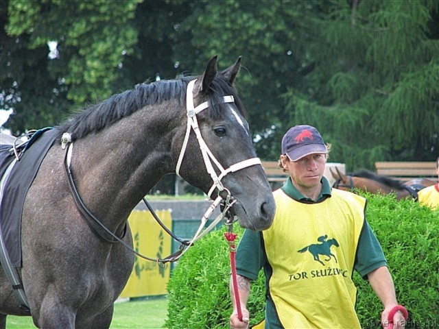 image_27.jpg