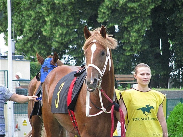 image_28.jpg