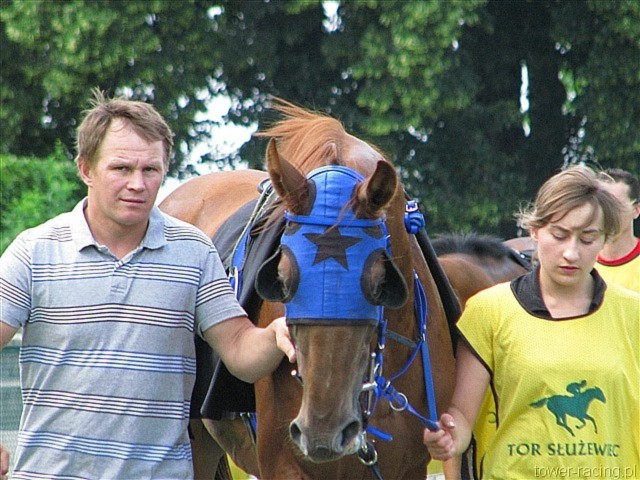 image_29.jpg