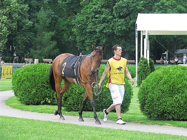 image_30.jpg
