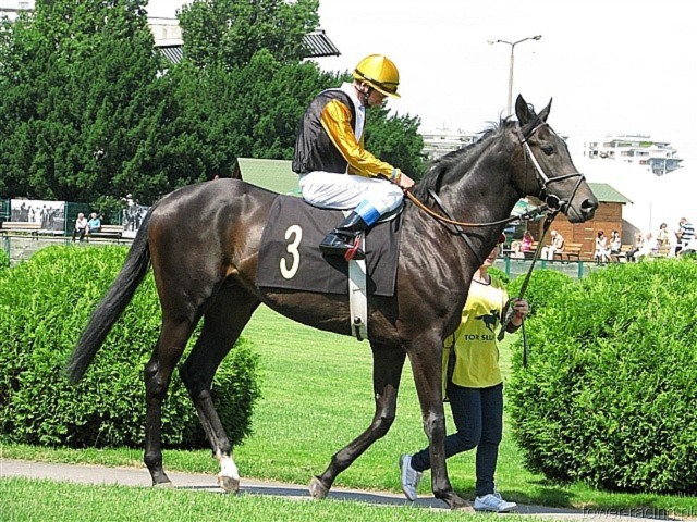 image_4.jpg