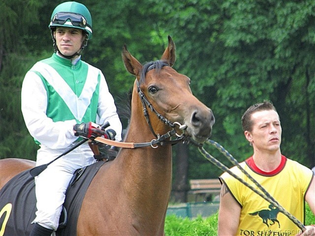 image_40.jpg