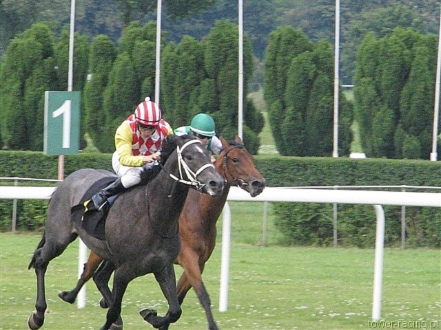image_42.jpg