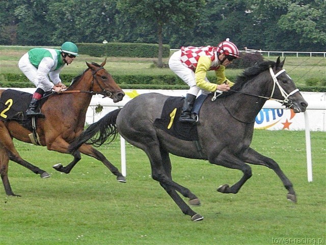 image_43.jpg