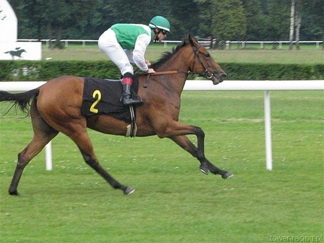 image_44.jpg