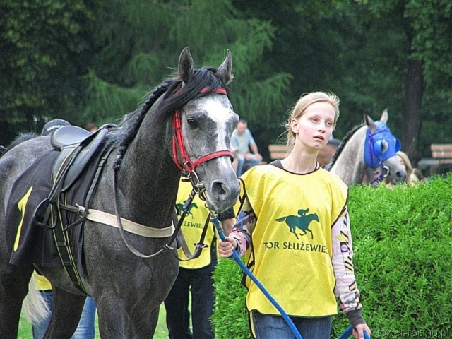 image_45.jpg