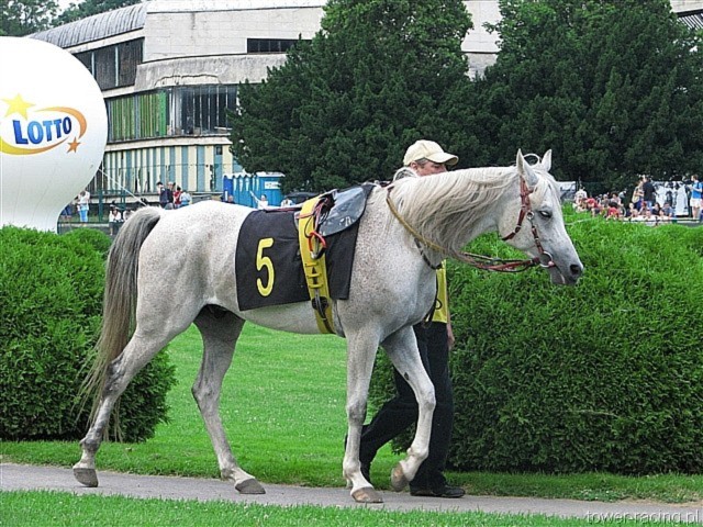 image_48.jpg
