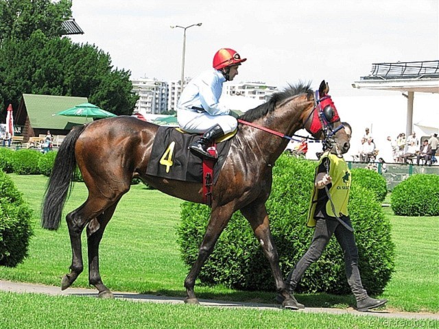image_5.jpg