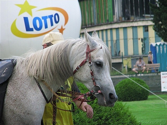 image_55.jpg