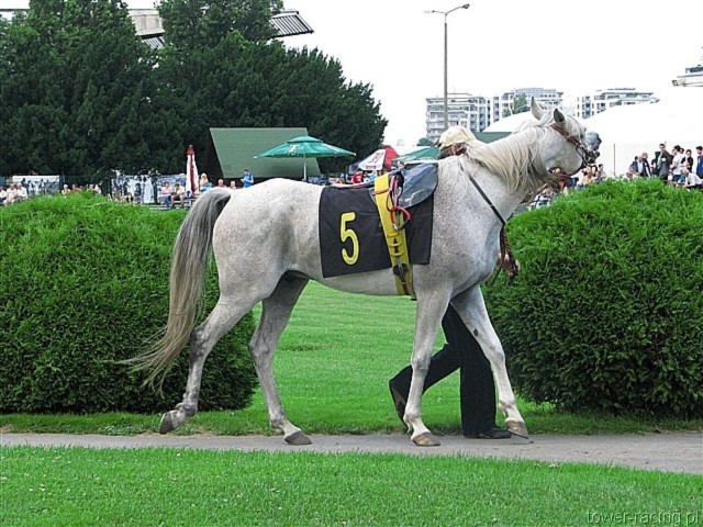 image_56.jpg