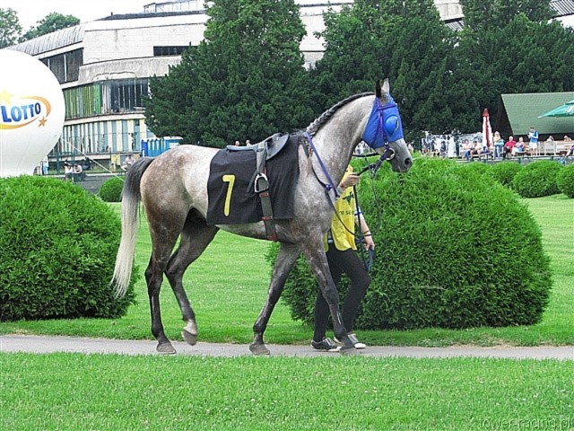 image_57.jpg