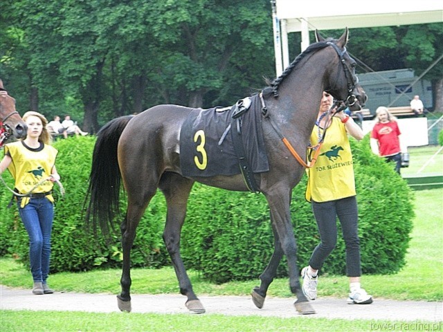 image_61.jpg