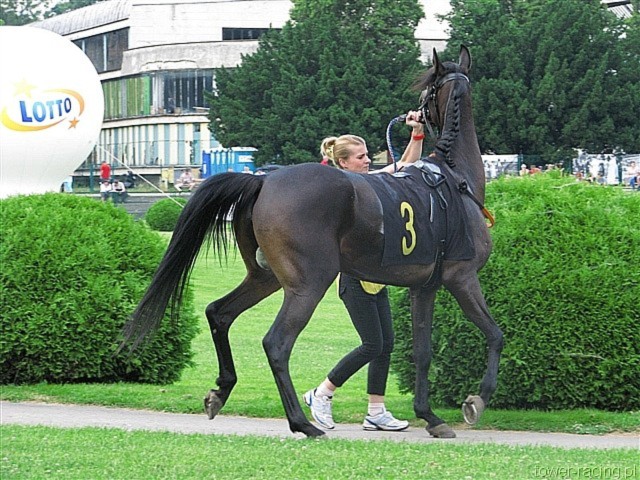 image_62.jpg