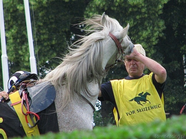 image_65.jpg