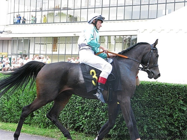image_68.jpg