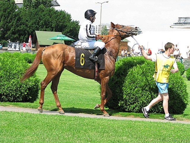 image_7.jpg