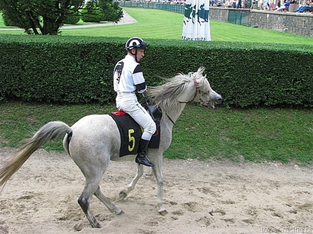 image_73.jpg