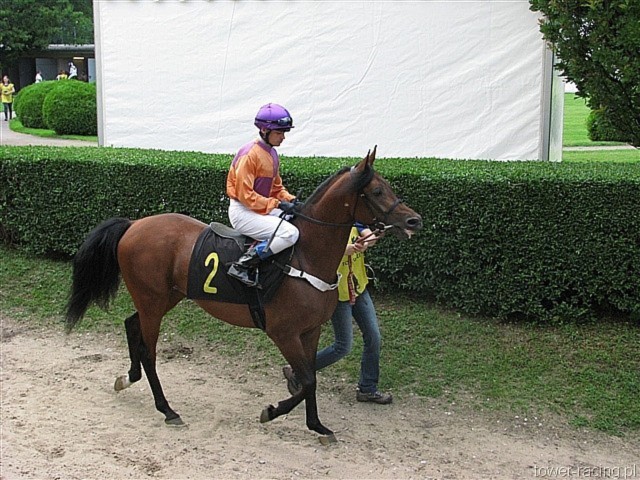 image_74.jpg