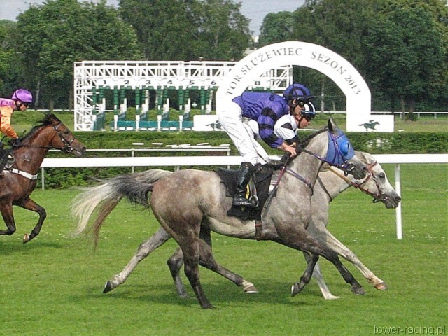 image_78.jpg