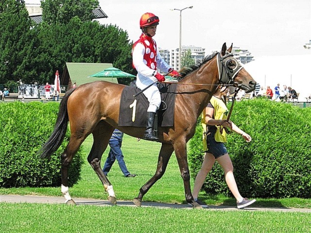 image_8.jpg
