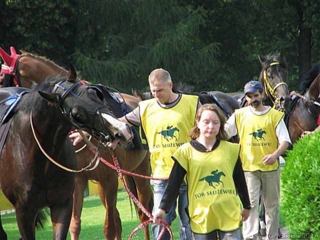 image_80.jpg