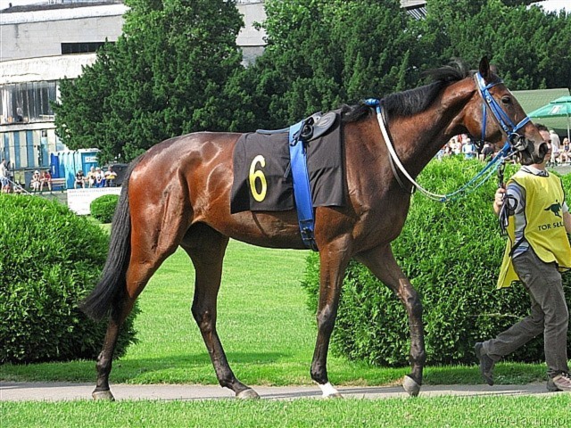 image_87.jpg
