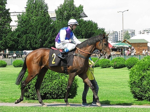 image_9.jpg