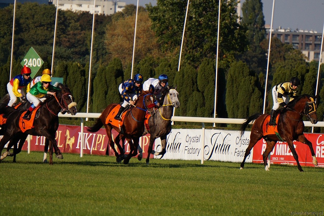 DSC00255.JPG