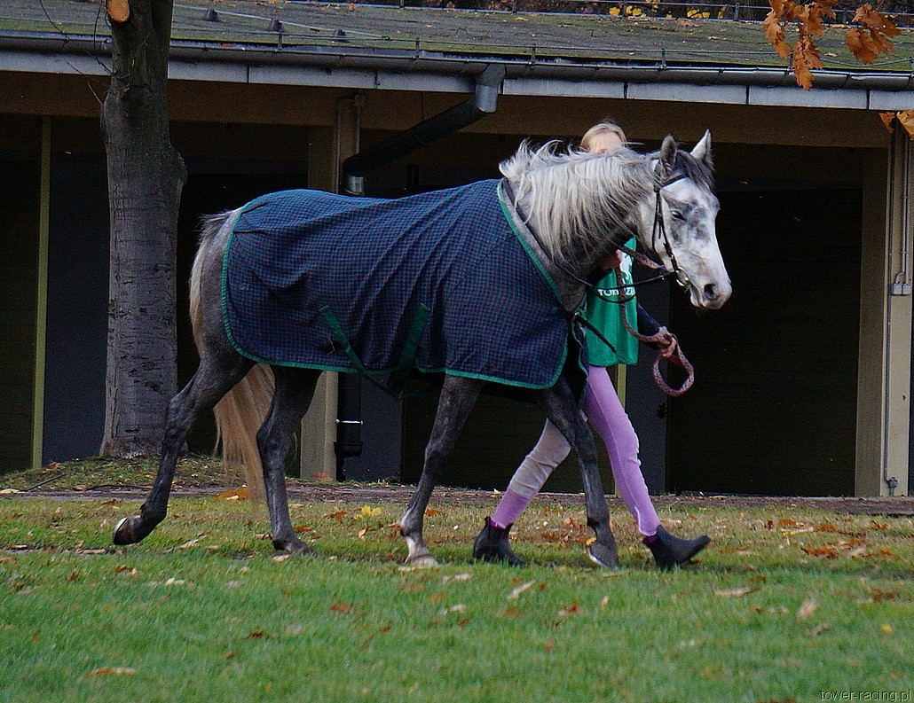 DSC00014.JPG