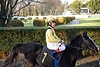 DSC00399.JPG