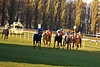 DSC00409.JPG
