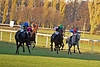 DSC00411.JPG