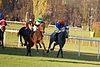 DSC00412.JPG