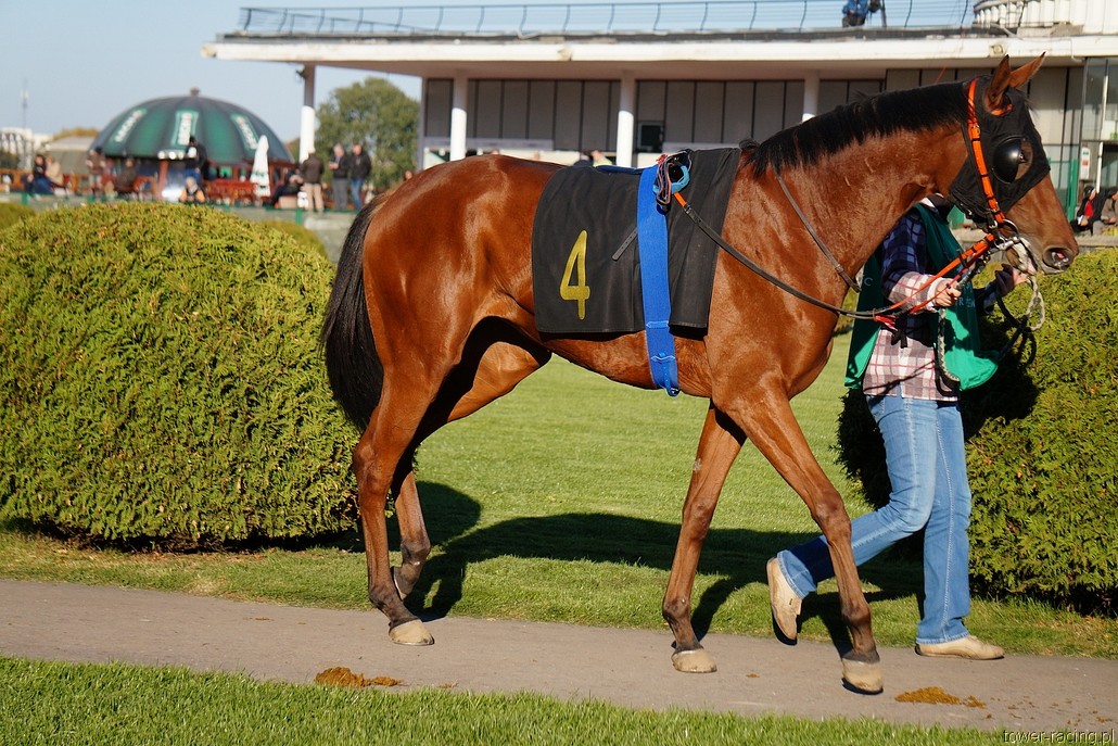 DSC00042.JPG