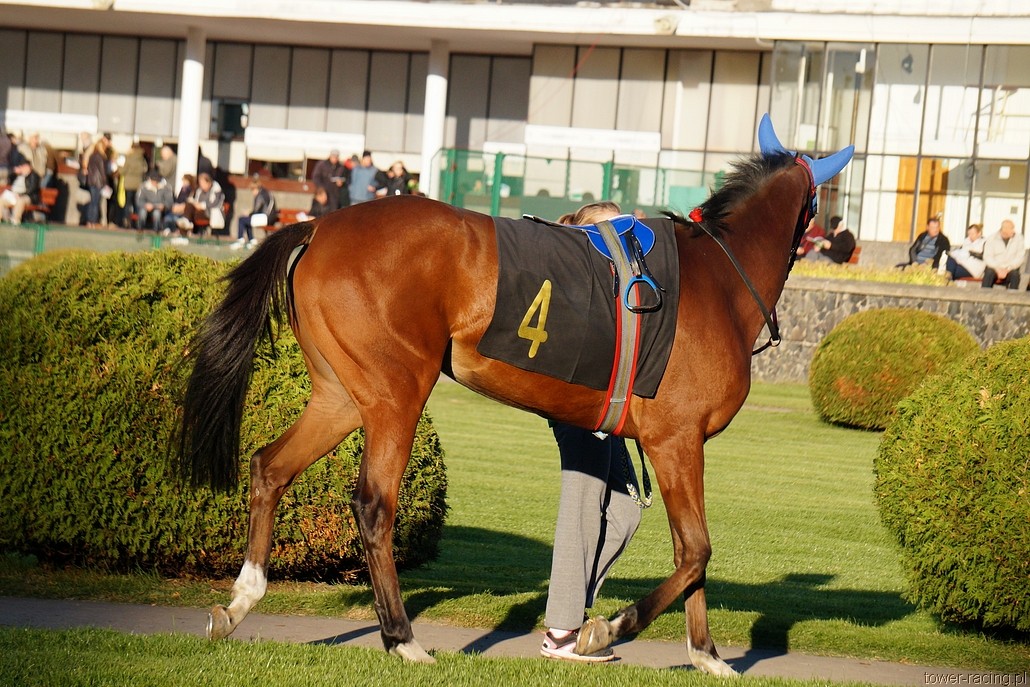 DSC00084.JPG