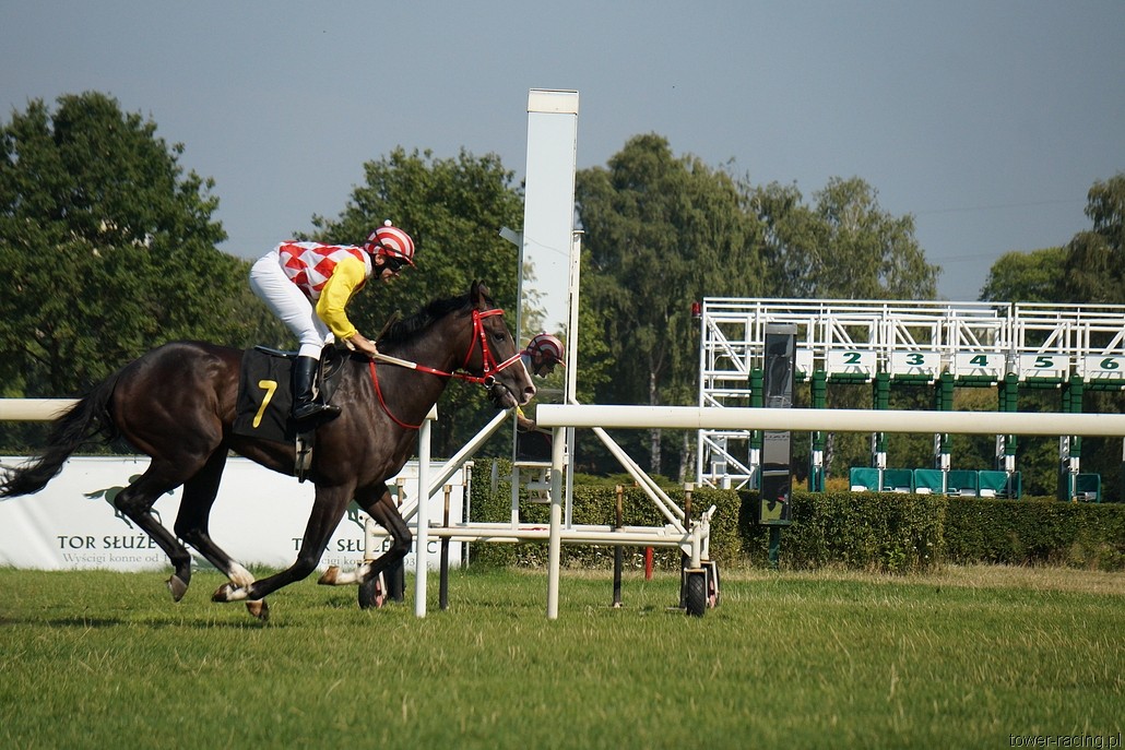 DSC00076.JPG