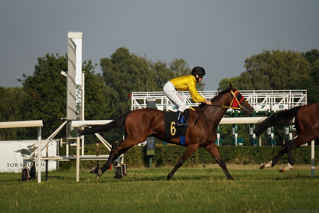 DSC00149.JPG