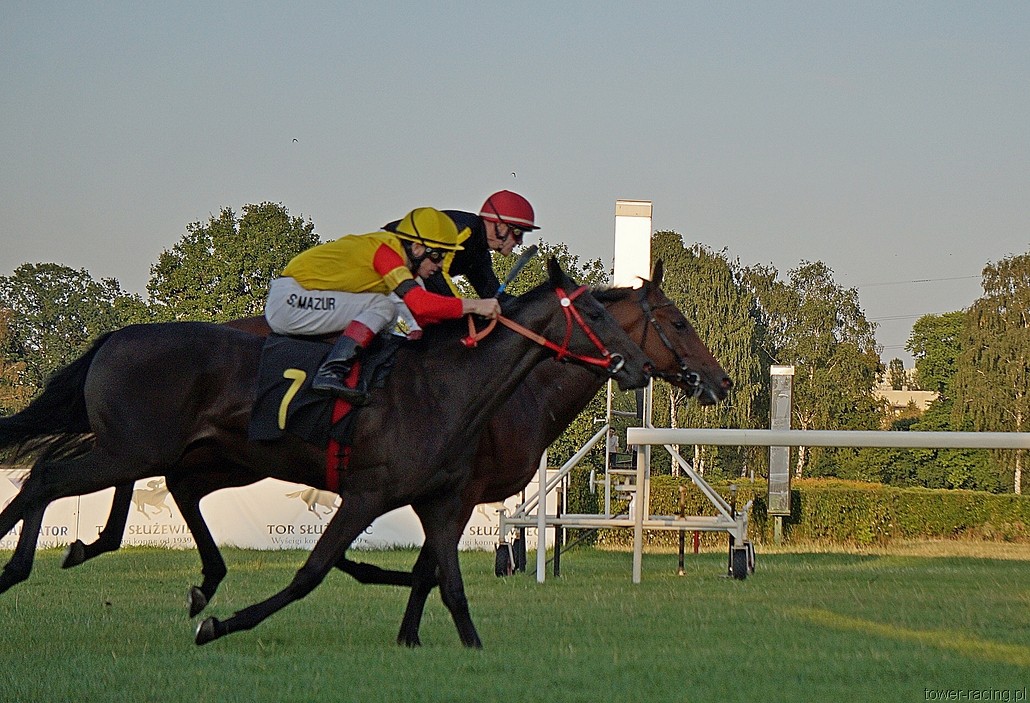 DSC00423.JPG