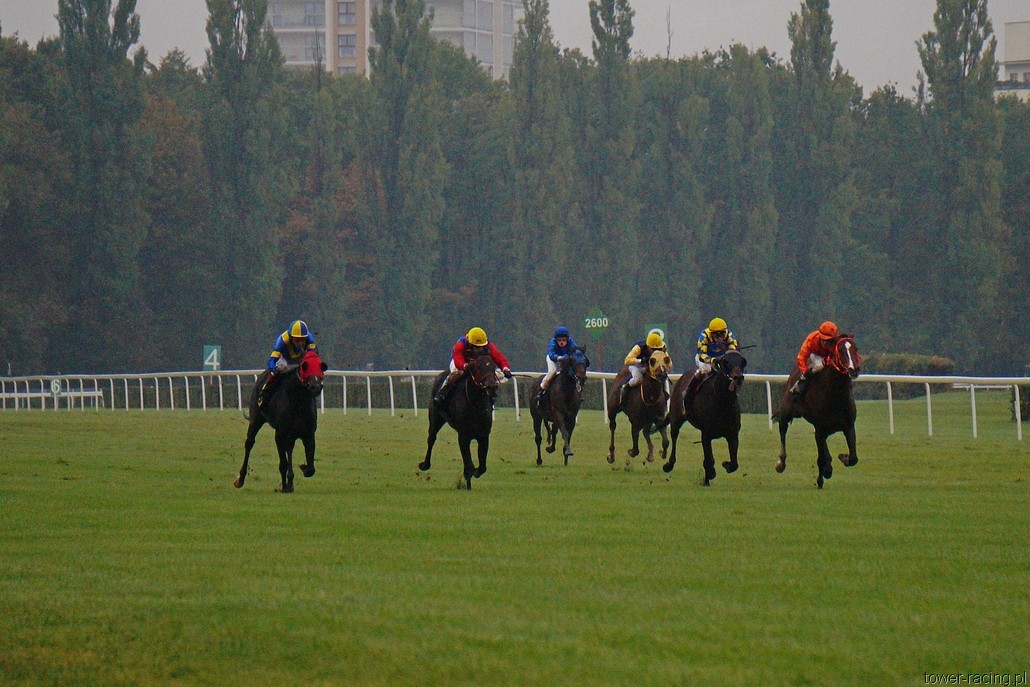 DSC00121.JPG