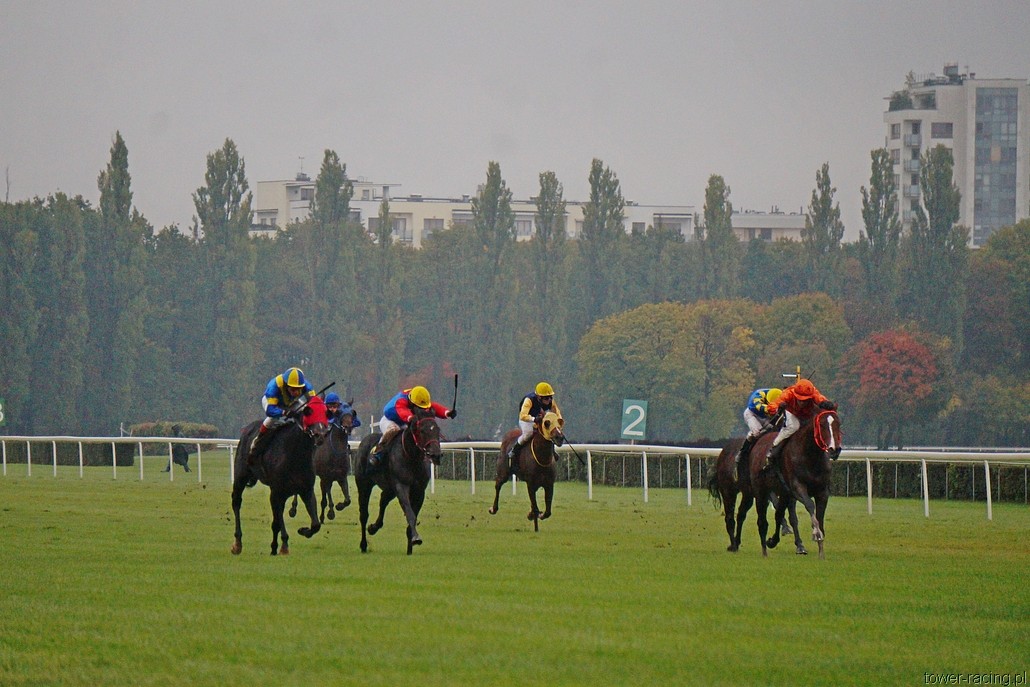 DSC00124.JPG