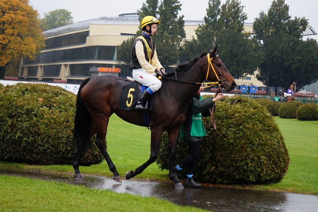 DSC00204.JPG