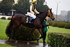 DSC00205.JPG