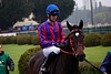 DSC00213.JPG