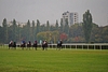 DSC00217.JPG