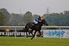 DSC00220.JPG